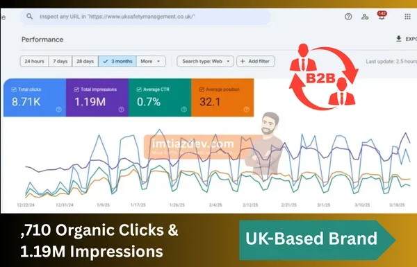 Professional Website Developer & SEO Expert Services