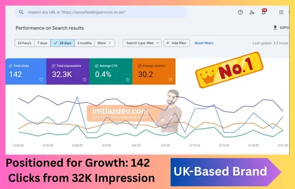 Professional Website Developer & SEO Expert Services